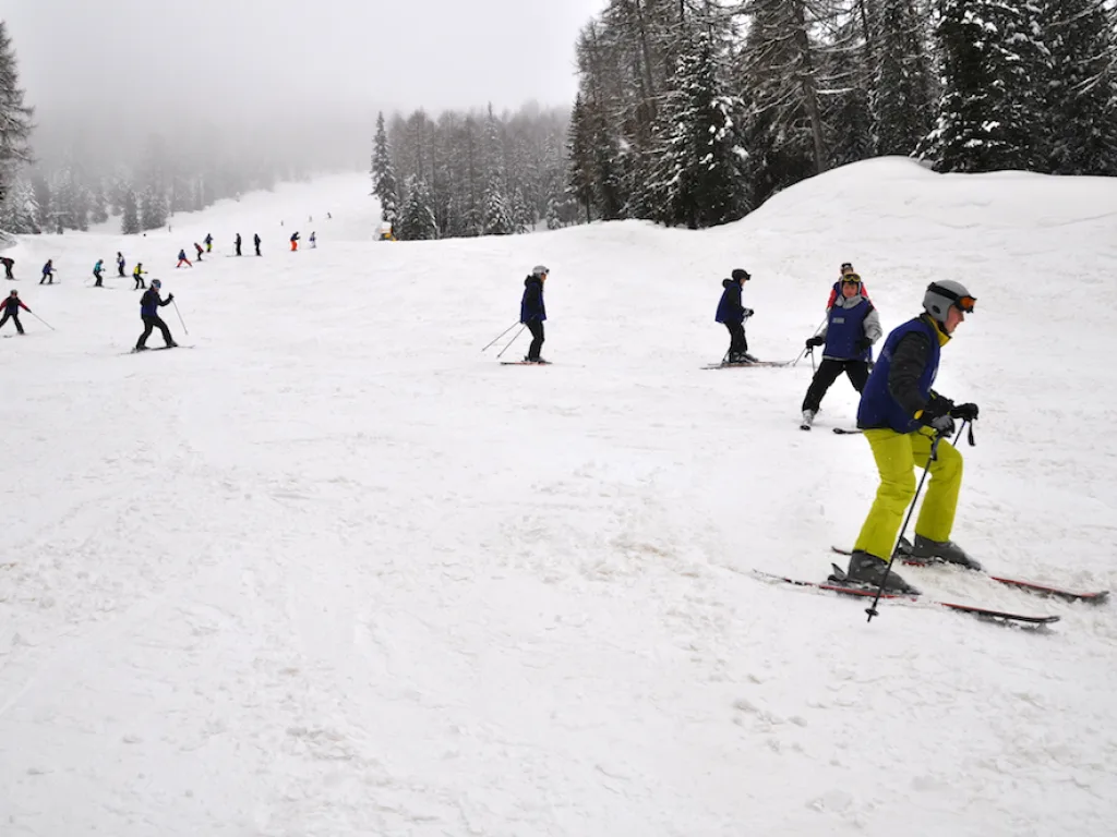 Skifahrende auf der Piste im Nebel am Waldrand.